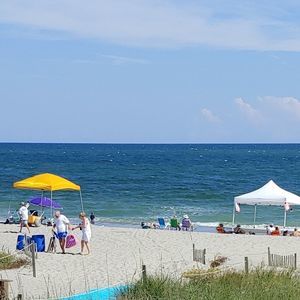 Meet your Posher, Jody